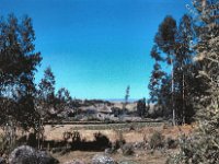 1964111129 Country outside Sendafa - north of Addis