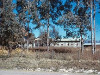 1964111131 School at Sendafa - north of Addis