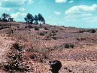 1965011112 Ethiopian child near Blue Nile