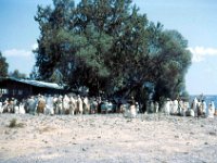 1965011119 Funeral - Debre Labanos