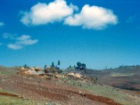 1965011122 Country near Debre Labanos