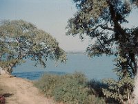 1965011202 Lake Tana - Rear of Ras Hotel - Barhar Dar