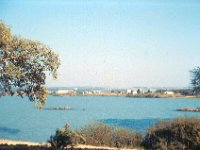 1965011203 Barrhar Dar across Lake Tana