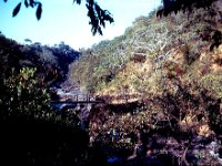 1965011209 Bridge leading to Blue Nile Falls