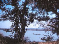 1965011219 Lake Tana at Barhar Dar