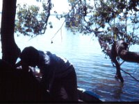 1965011223 Going Ashore Island in Lake Tana