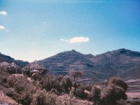 1965011431 Tukels near Crater Lake - heading to Mekele