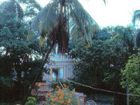 1966071117 Gardens - Bombay - India