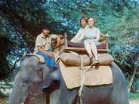 1966071132 Elephant ride - New Delhi - India