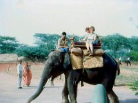 1966071133 Elephant ride - New Delhi - India