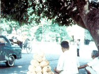 1966071323 Selloing Cocanuts - Bombay - India