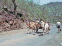 1966071334 County life near Ajanta- India