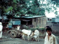 Copy of 1966 06 325  Countryside east of Bombay - India