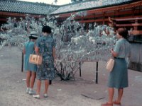 1966081637 Bad Fortune Tree - Kyoto - Japan