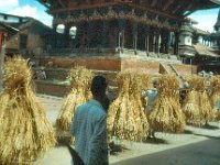 1966071410 Carrying grass - Khatmandu - Nepal