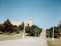 1964071004 UCLA