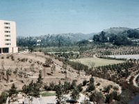 1964071027a View from Spence Hall UCLA 4x6