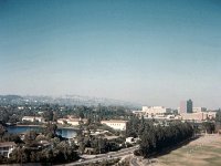 1964071029 Campus View from Spence Hall UCLA