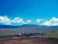 1966011114 Ngoro Crater - Tanzania