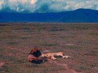 1966011119 Lions - Ngoro Crater - Tanzania