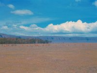 1966011133 Ngoro Crater - Tanzania