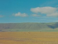 1966011138 Looking down into Ngoro Crater - Tanzania