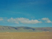 1966011139 Looking down into Ngoro Crater - Tanzania