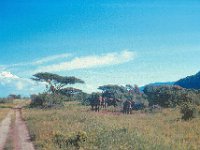 1966011212 Lake Manyara