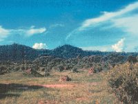 1966011220 Elephants - Lake Manyara