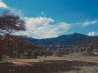 1966011222 Elephants - Lake Manyara