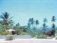 1966011326 Nyale Beach - Mombasa - Kenya