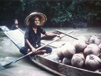 1966071604 Coconuts - Floating Market Canal - Bangkok - Thailand