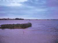 1965081108 Confluence of Blue & White Nile