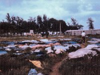 1965081233 Clothes drying - Lagos - Nigeria