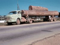 1965081428 Mahogony Logs - Abidjan-Ivory Coast