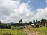 2012095431 Debre Berhan -Ethiopia