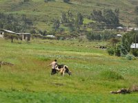 2012095439 Debre Berhan -Ethiopia
