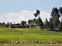 2012095454 Debre Berhan -Ethiopia