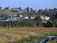 2012095524 Debre Berhan -Ethiopia