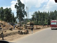 2012094458 City Views - Addis Ababa Ethiopia Sep 25
