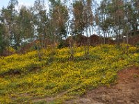 2012097209 Gondar - Ethioipia -  Oct 02