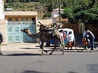 2012097241 Gondar - Ethioipia -  Oct 02