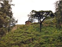 2012096311 Monastery of Yemrehanna Kristos  - Bilbilla - Ethiopia - Sep 29
