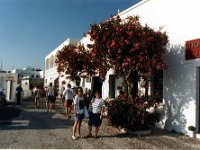 1991001235 Darrel-Betty-Darla Hagberg - Greece Vacation : Darla Hagberg