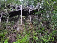 2011023696 Tikal - Guatemala