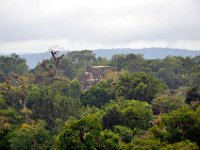 2011023704 Tikal - Guatemala