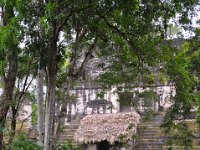 2011023728 Tikal - Guatemala