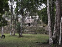 2011023729 Tikal - Guatemala