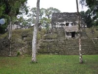 2011023731 Tikal - Guatemala