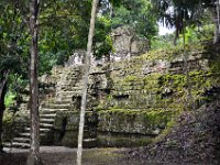 2011023737 Tikal - Guatemala